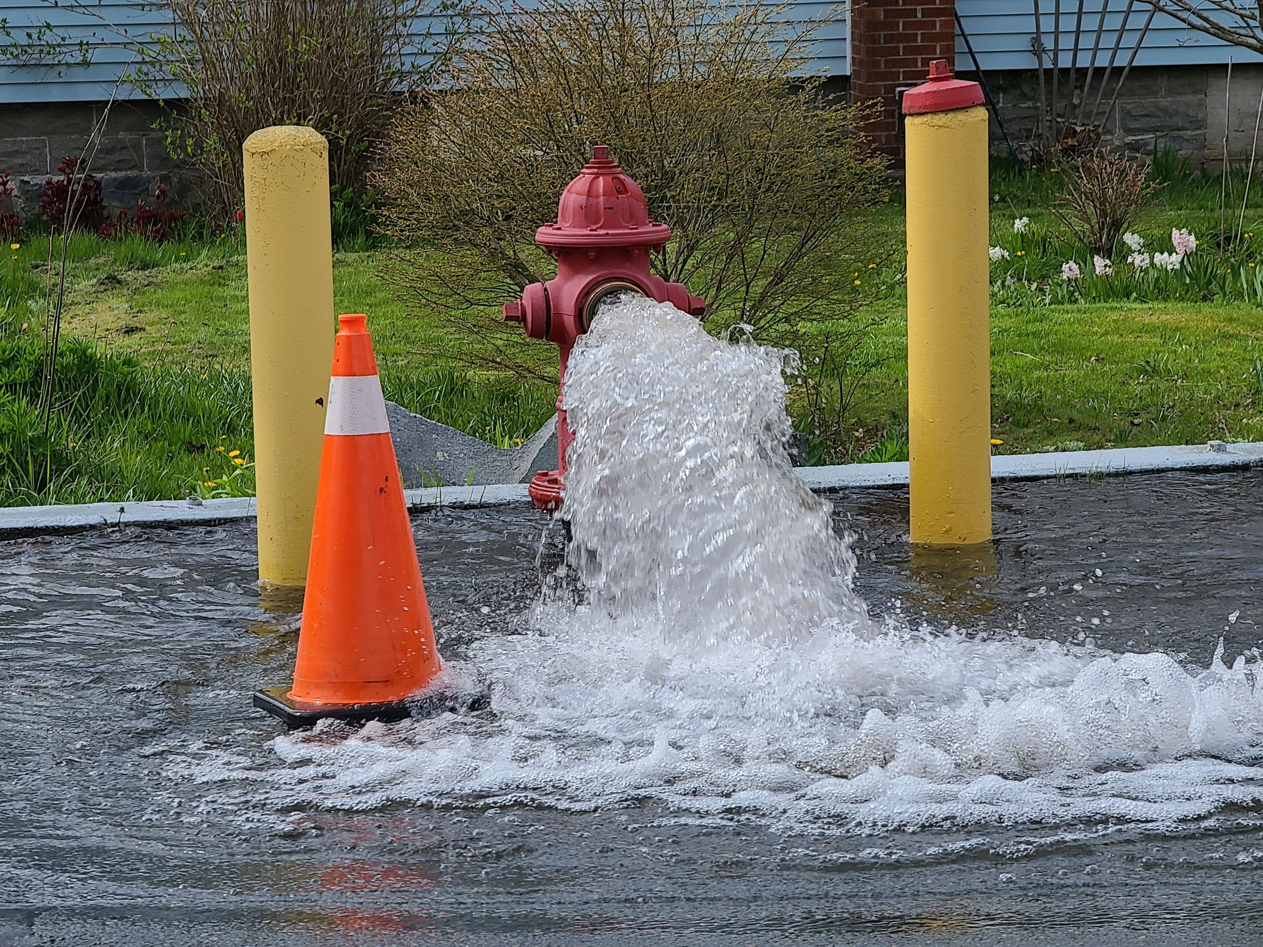 shutterstock_2155632399